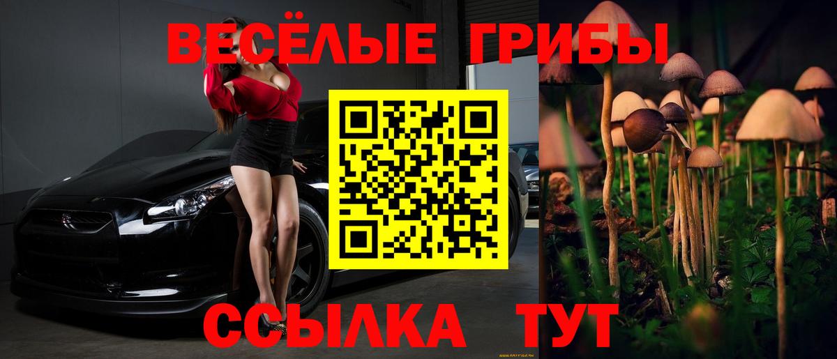 Гулькевичи  Галлюциногенные грибы Cubensis  Вход с VPN  Псилоцибиновые грибы Magic Shrooms 